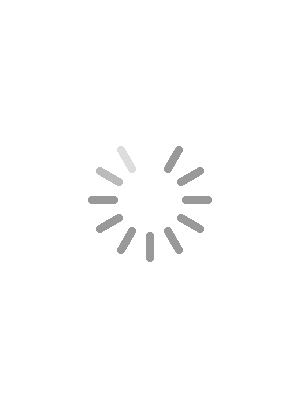 loading-gif